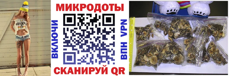 Галлюциногенные грибы Psilocybe  Кохма 